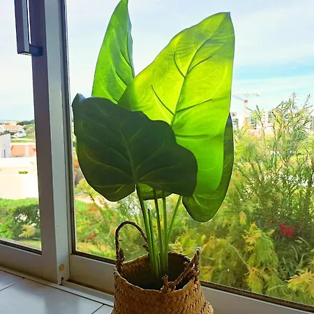 Oasis Parque 1 شقة بورتيماو