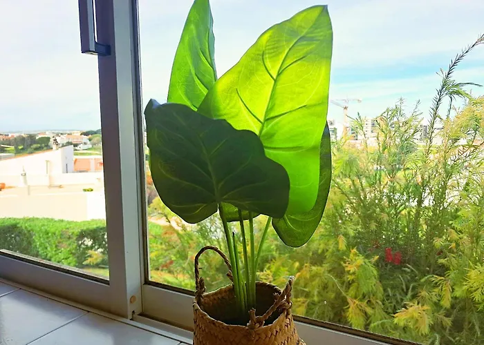Oásis Parque 1 Apartamento Portimão