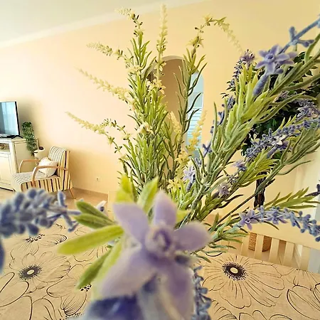 Apartment Oasis Parque 1